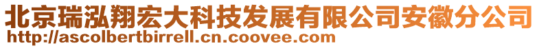 北京瑞泓翔宏大科技發(fā)展有限公司安徽分公司