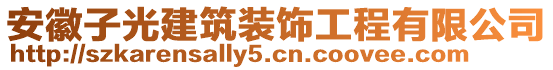 安徽子光建筑裝飾工程有限公司