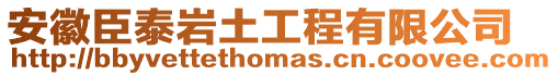 安徽臣泰巖土工程有限公司