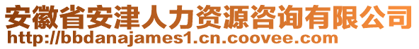 安徽省安津人力資源咨詢有限公司