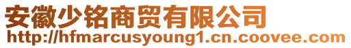 安徽少銘商貿(mào)有限公司