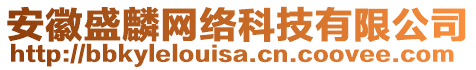 安徽盛麟網(wǎng)絡(luò)科技有限公司