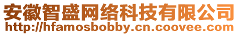 安徽智盛網(wǎng)絡(luò)科技有限公司