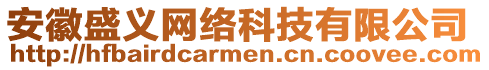 安徽盛義網(wǎng)絡(luò)科技有限公司