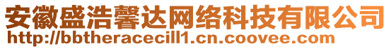 安徽盛浩馨達(dá)網(wǎng)絡(luò)科技有限公司