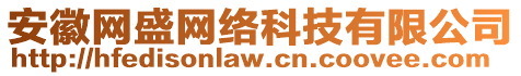 安徽網(wǎng)盛網(wǎng)絡(luò)科技有限公司