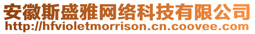 安徽斯盛雅網絡科技有限公司