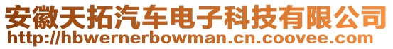 安徽天拓汽車電子科技有限公司