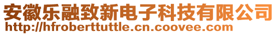 安徽樂融致新電子科技有限公司