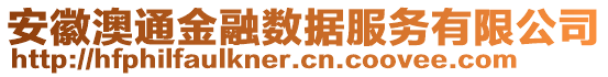 安徽澳通金融數(shù)據(jù)服務有限公司