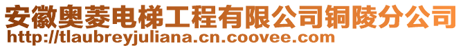 安徽奧菱電梯工程有限公司銅陵分公司