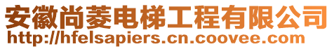 安徽尚菱電梯工程有限公司