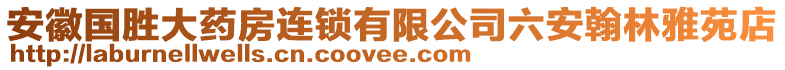 安徽國(guó)勝大藥房連鎖有限公司六安翰林雅苑店