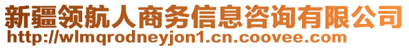 新疆領(lǐng)航人商務(wù)信息咨詢有限公司