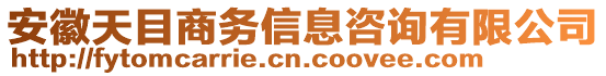 安徽天目商务信息咨询有限公司