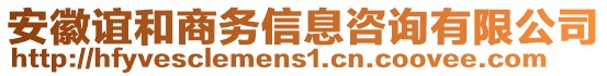 安徽誼和商務(wù)信息咨詢有限公司