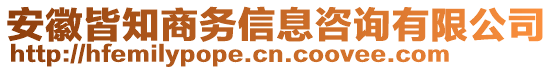 安徽皆知商務信息咨詢有限公司