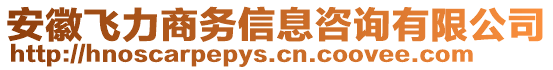 安徽飛力商務信息咨詢有限公司