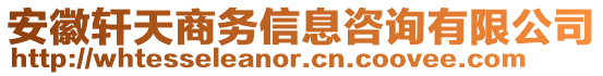 安徽軒天商務(wù)信息咨詢有限公司