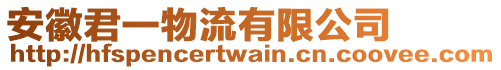 安徽君一物流有限公司