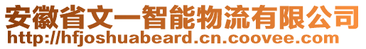安徽省文一智能物流有限公司
