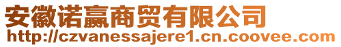 安徽諾贏商貿(mào)有限公司