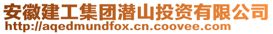 安徽建工集團潛山投資有限公司