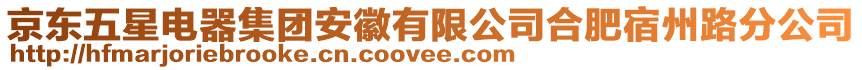 京東五星電器集團(tuán)安徽有限公司合肥宿州路分公司