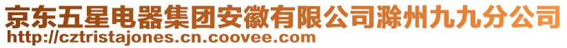 京東五星電器集團安徽有限公司滁州九九分公司