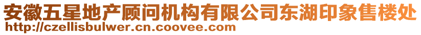 安徽五星地產(chǎn)顧問(wèn)機(jī)構(gòu)有限公司東湖印象售樓處