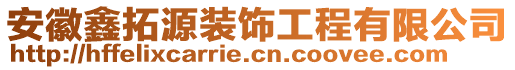 安徽鑫拓源裝飾工程有限公司