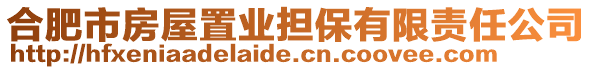 合肥市房屋置業(yè)擔(dān)保有限責(zé)任公司