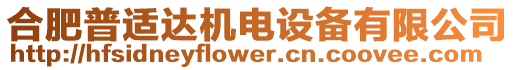 合肥普適達(dá)機(jī)電設(shè)備有限公司