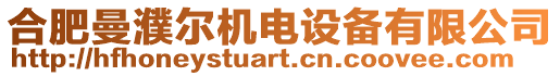 合肥曼濮爾機(jī)電設(shè)備有限公司