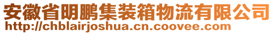 安徽省明鵬集裝箱物流有限公司