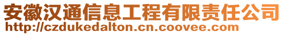 安徽漢通信息工程有限責(zé)任公司