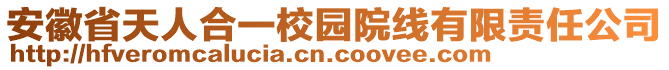 安徽省天人合一校園院線有限責任公司