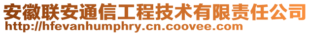 安徽聯(lián)安通信工程技術(shù)有限責任公司