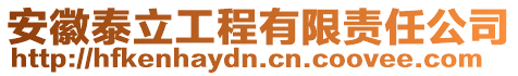 安徽泰立工程有限責(zé)任公司