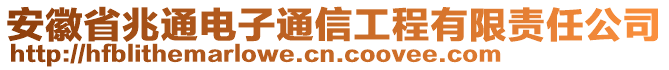 安徽省兆通電子通信工程有限責(zé)任公司