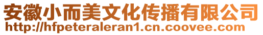 安徽小而美文化傳播有限公司