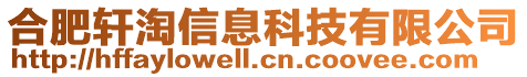 合肥軒淘信息科技有限公司