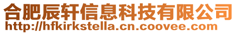 合肥辰軒信息科技有限公司