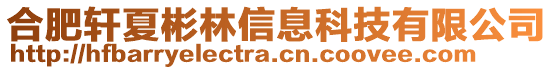 合肥軒夏彬林信息科技有限公司