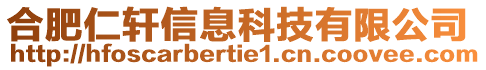 合肥仁軒信息科技有限公司