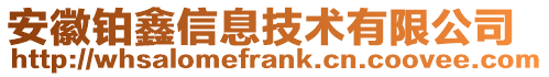 安徽铂鑫信息技术有限公司