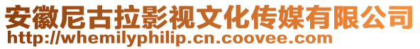 安徽尼古拉影視文化傳媒有限公司