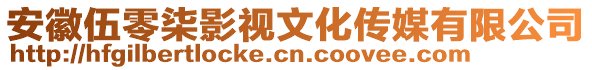 安徽伍零柒影视文化传媒有限公司