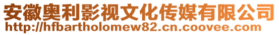 安徽奧利影視文化傳媒有限公司