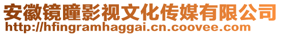 安徽鏡瞳影視文化傳媒有限公司